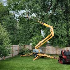 Best Tree Disease Treatment  in Salem, NJ